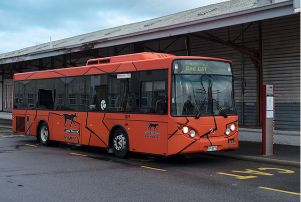 Getting Around Perth: Top Transport Option -BUS CAT