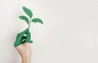 FIVE WAYS TO MAKE YOUR BUSINESS MORE SUSTAINABLE