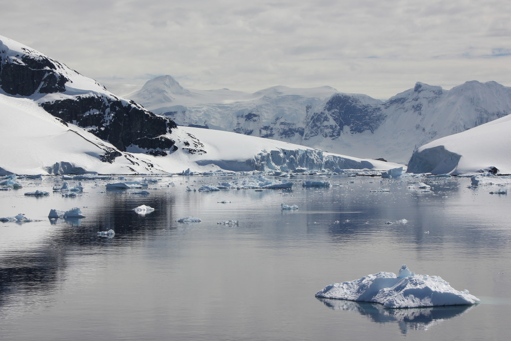 Tranquil with Ice- Antarctica